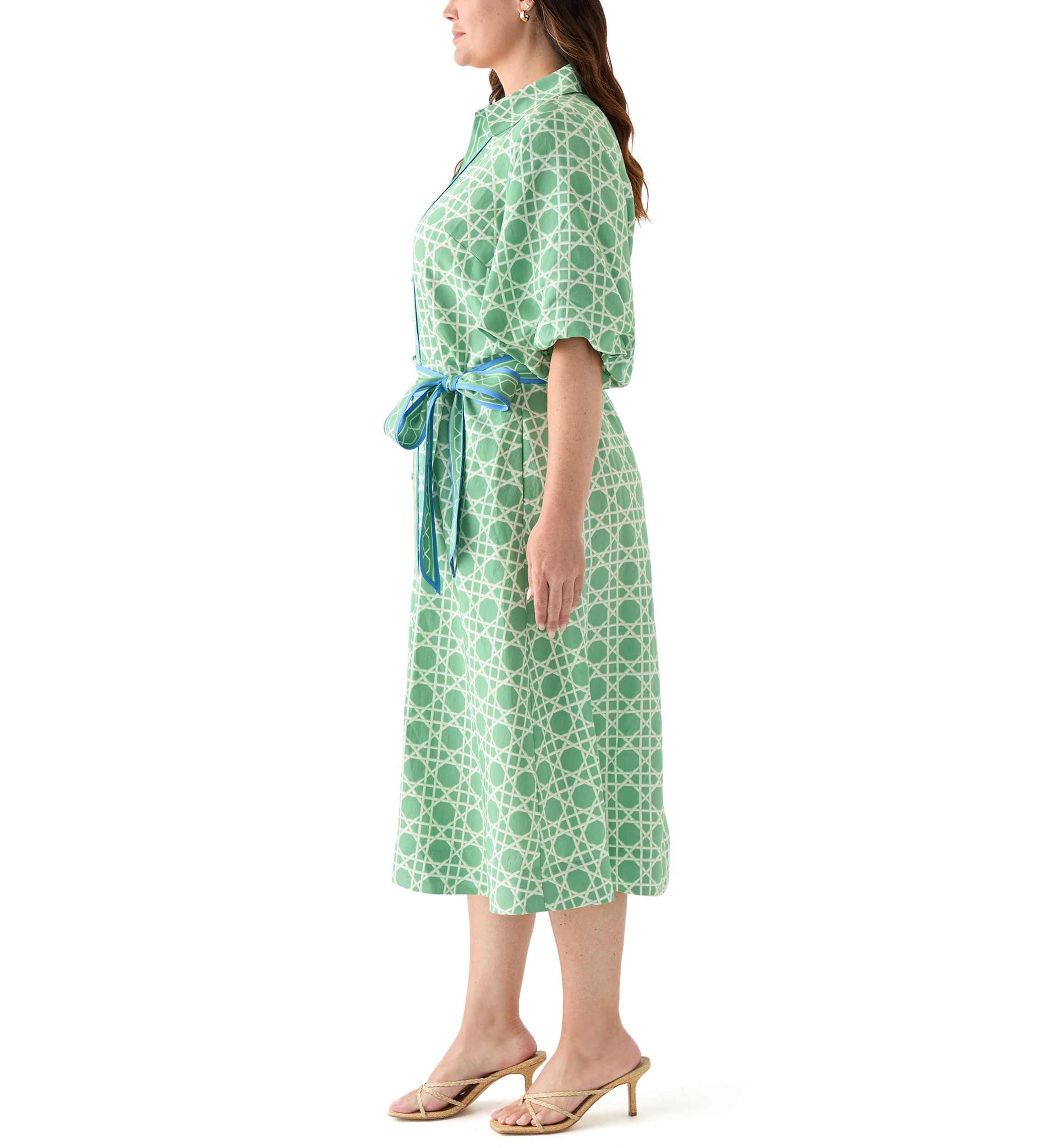 Plus Size Puff Sleeve Printed Maxi Dress