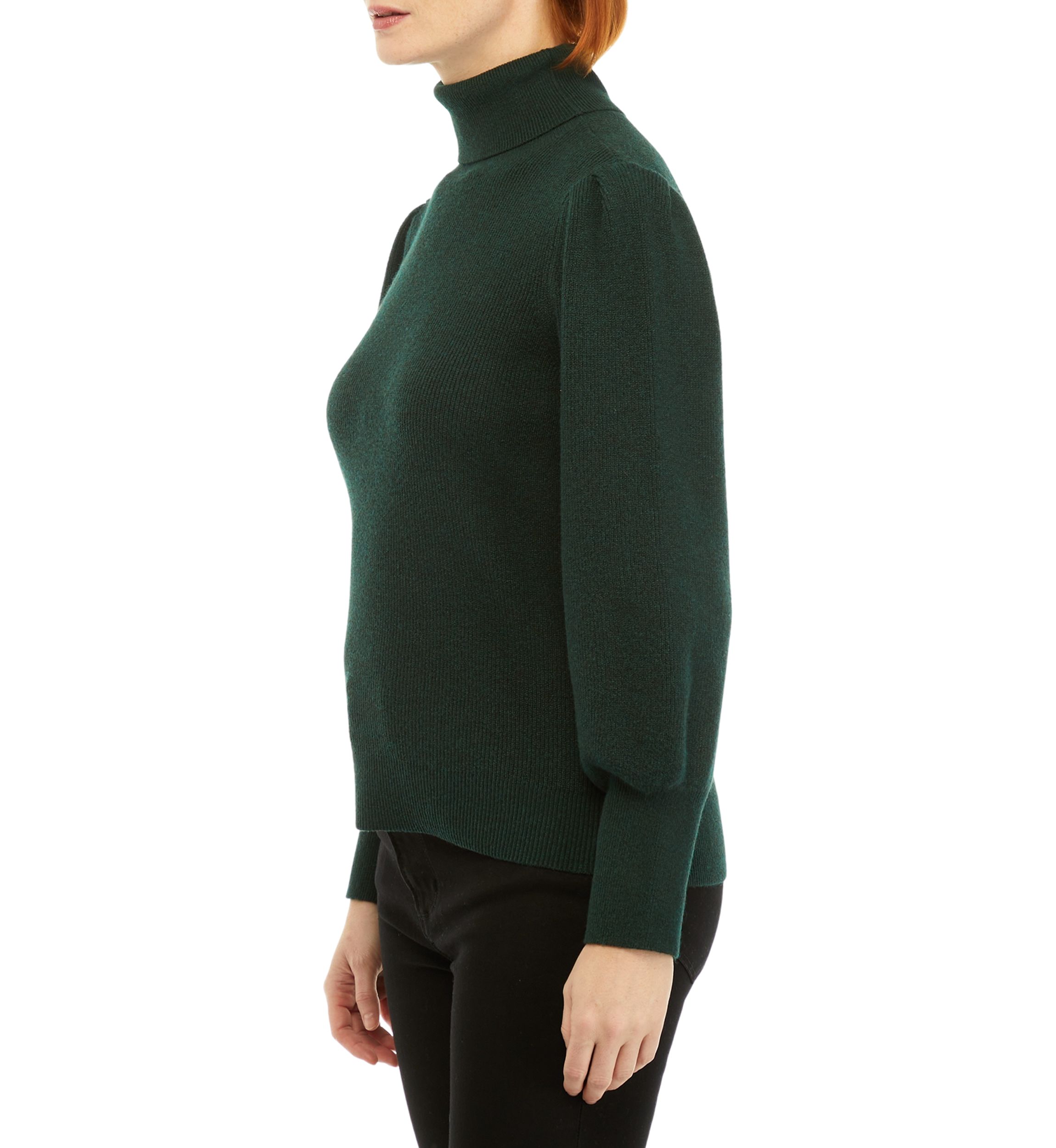 Petite Long Sleeve Turtleneck Pullover Sweater