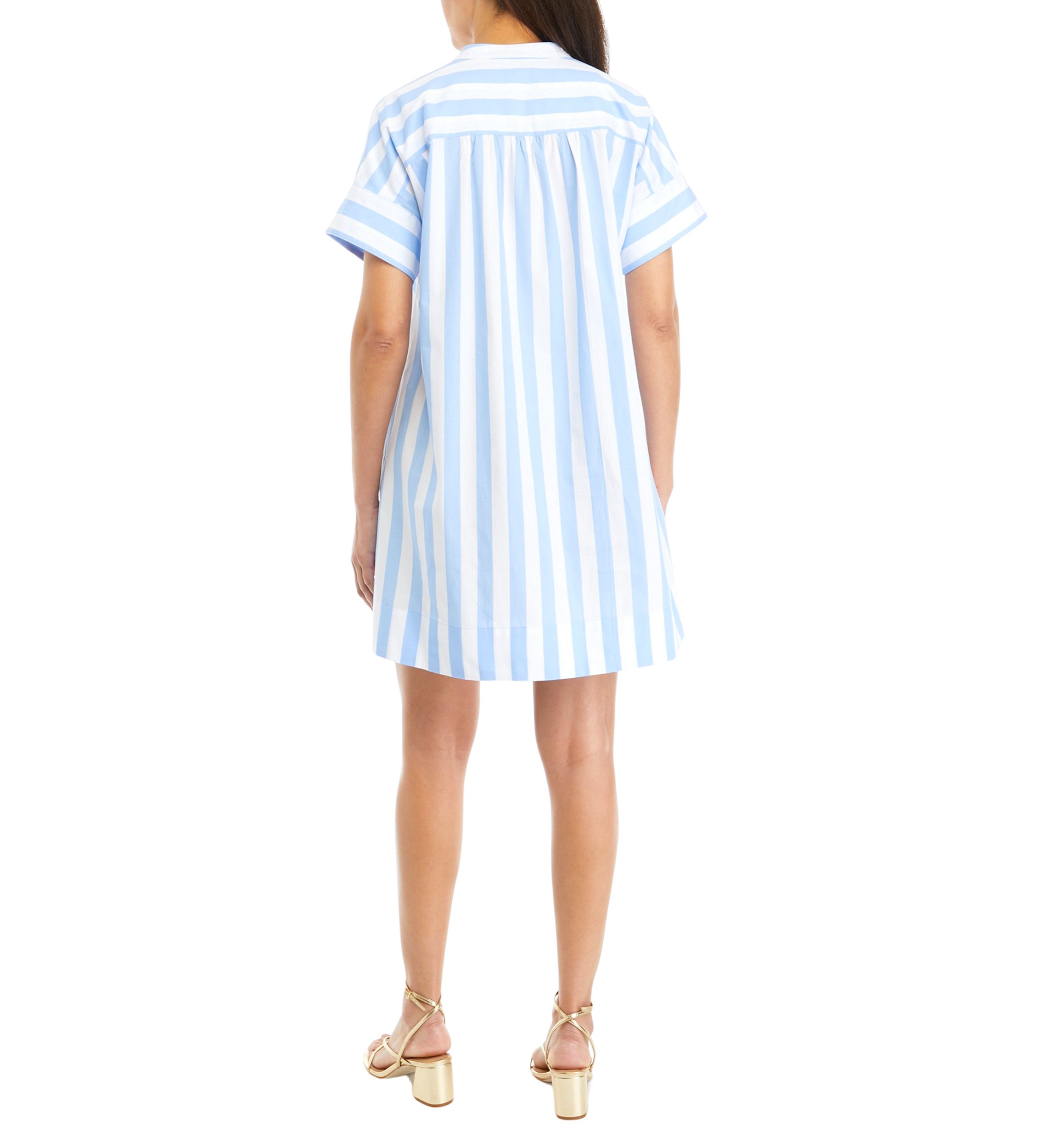Petite Popover Dress