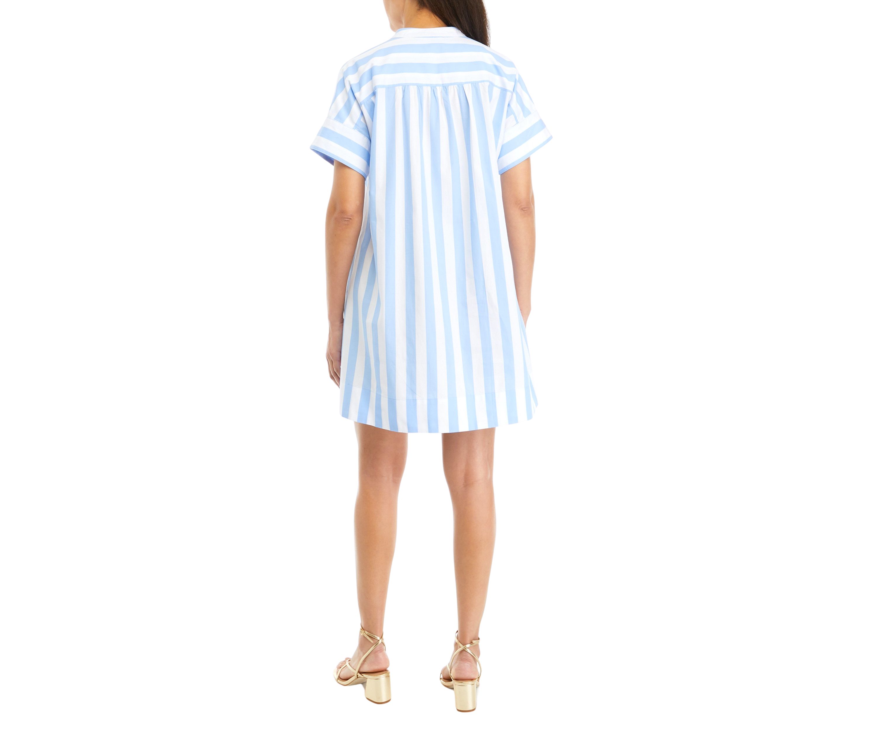 Petite Popover Dress