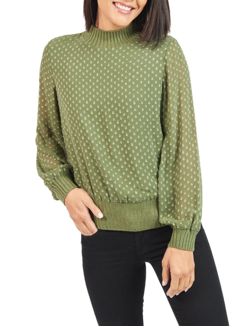 Swiss Dot Sheer Turteneck Blouse Top