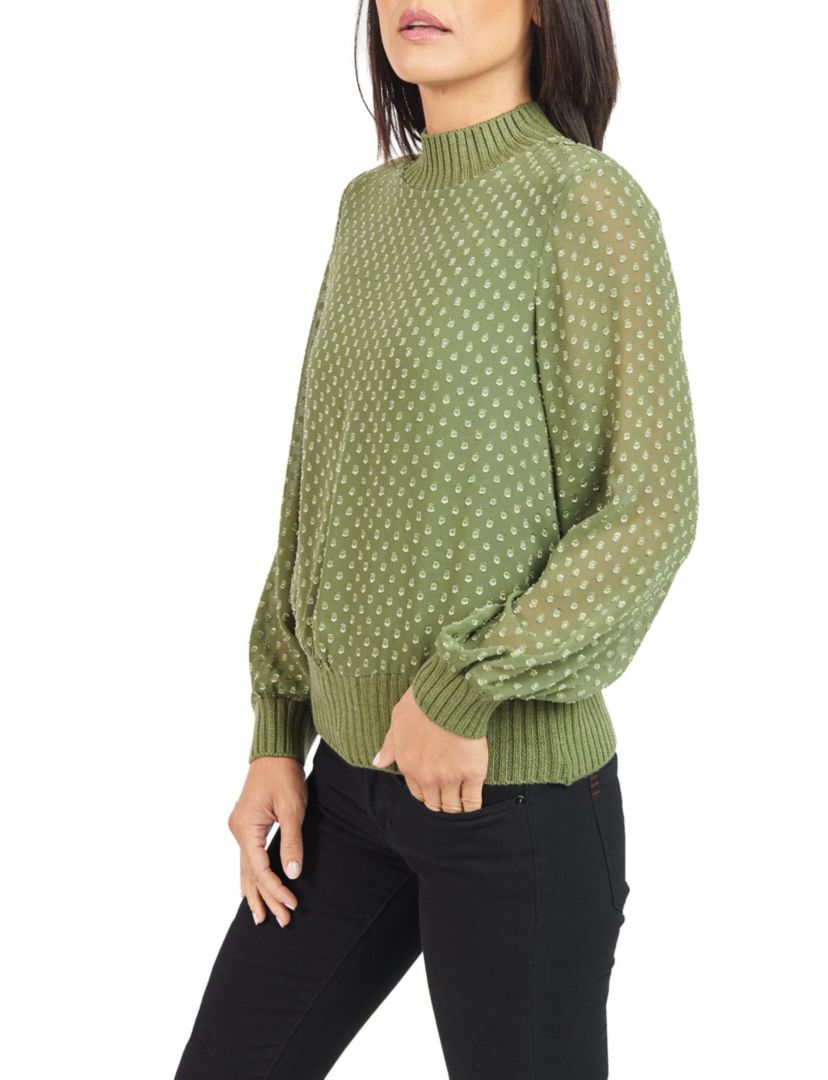 Swiss Dot Sheer Turteneck Blouse Top