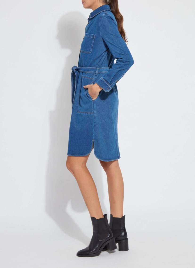 Knit Denim Schiffer Dress