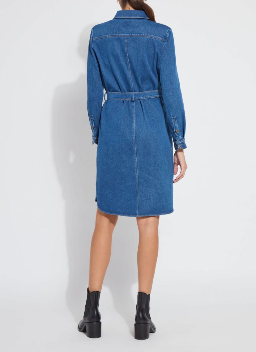 Knit Denim Schiffer Dress