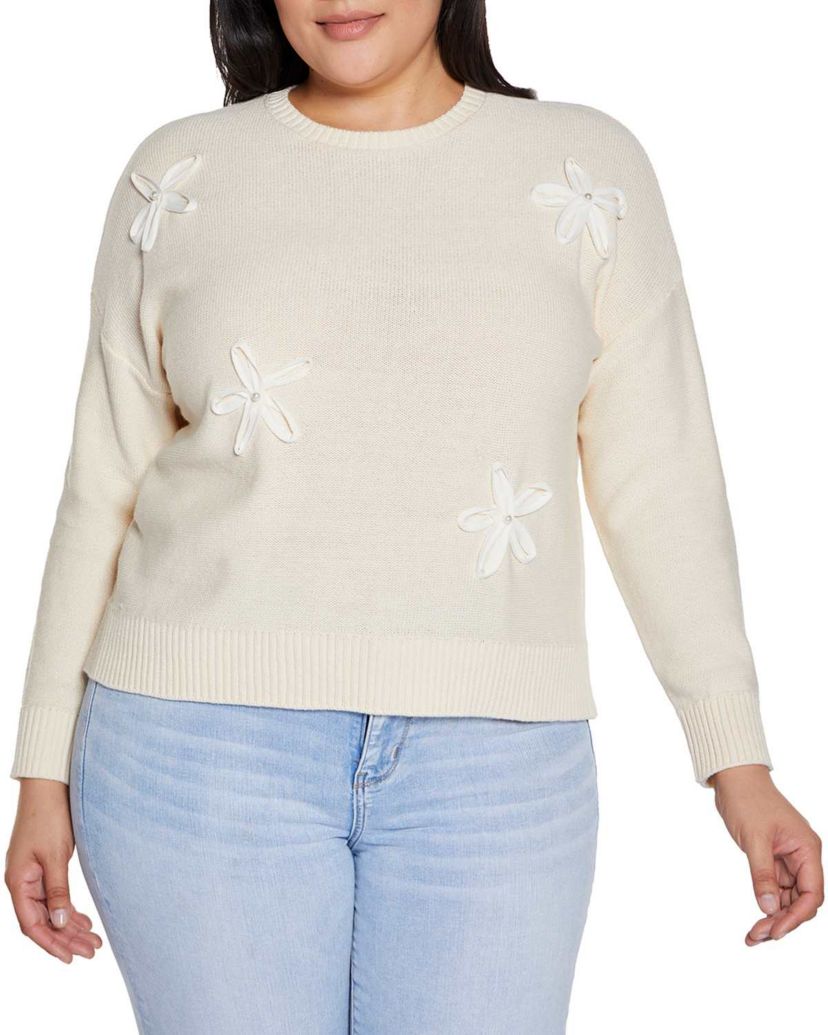 Plus Size 3-D Floral Trim Sweater