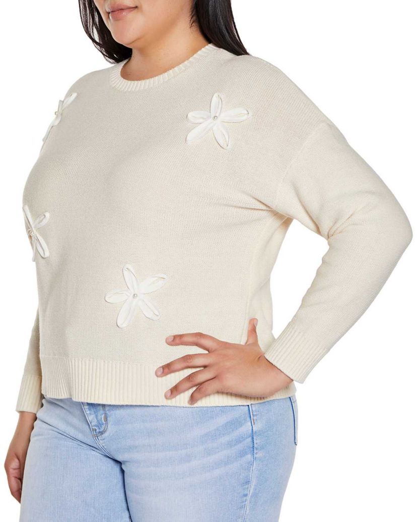 Plus Size 3-D Floral Trim Sweater