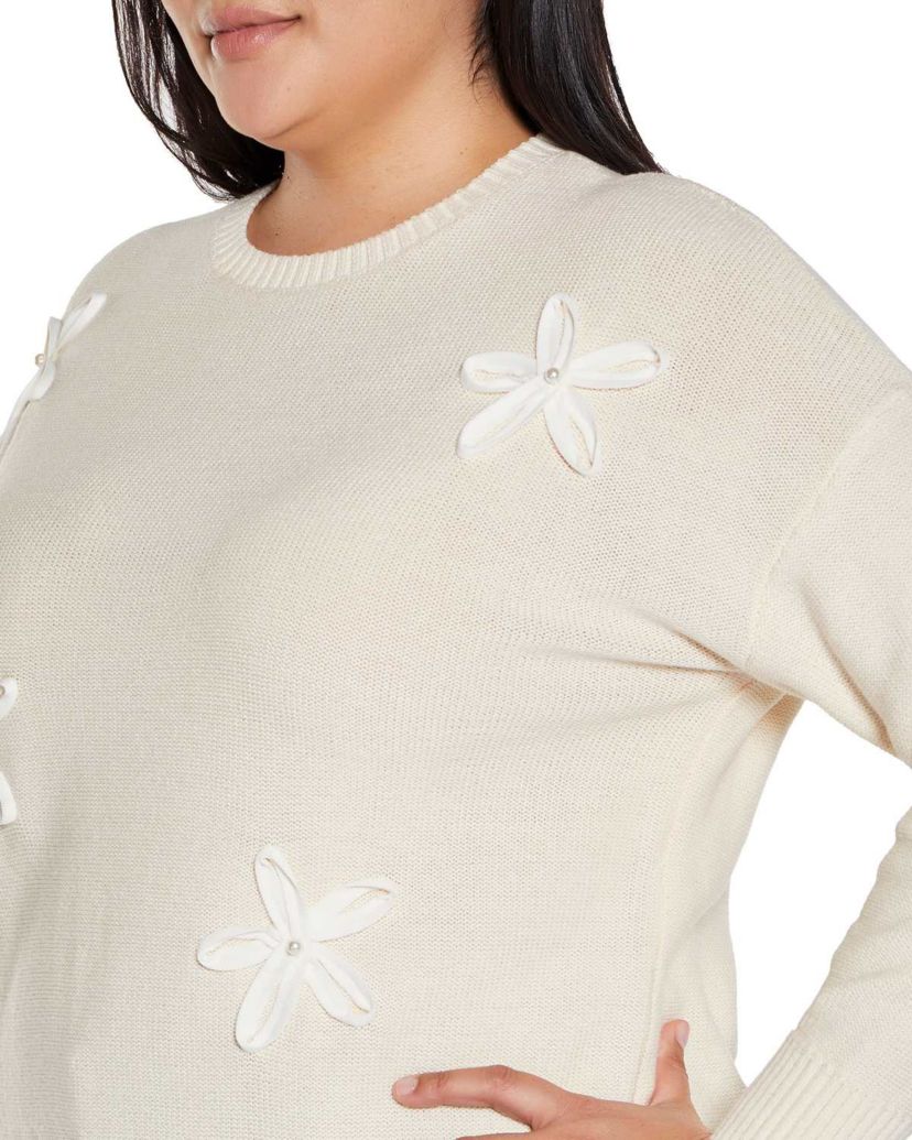 Plus Size 3-D Floral Trim Sweater