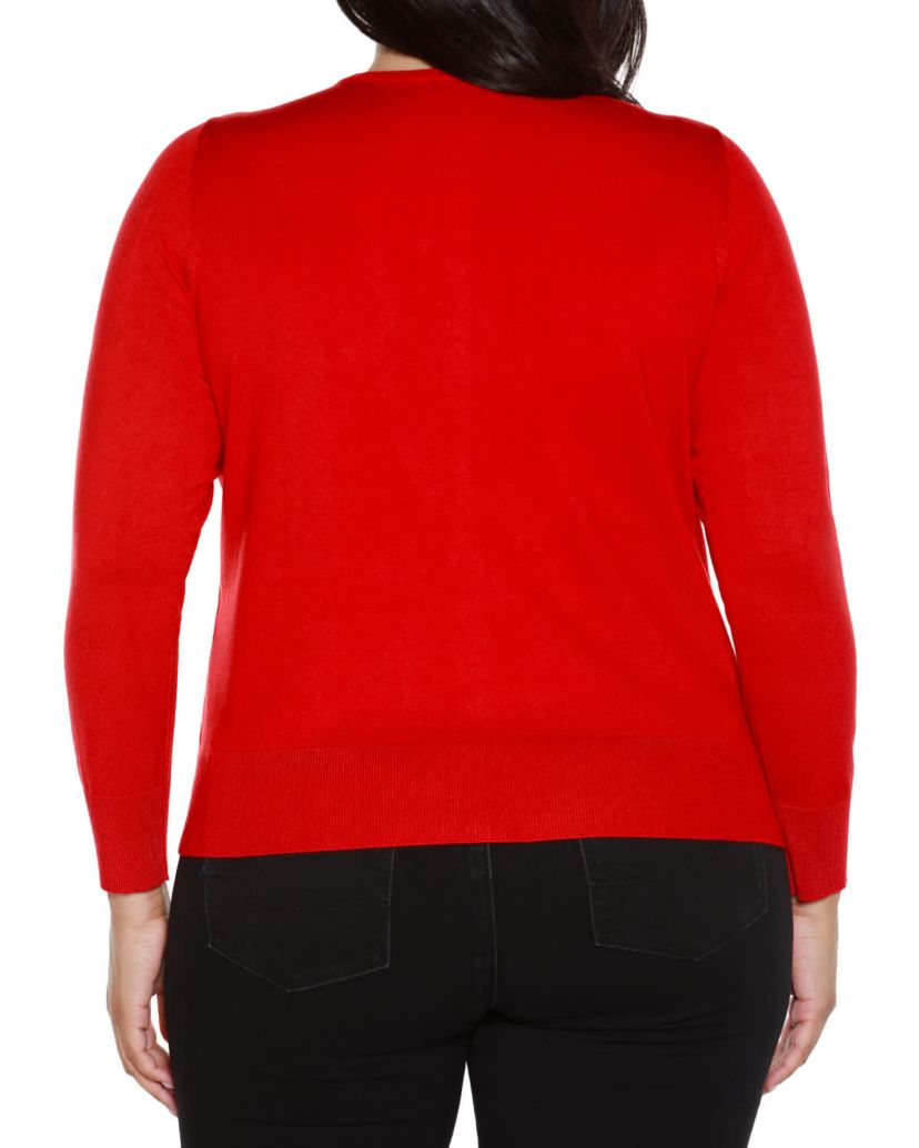 Plus Size Embellished Neckline Cardigan Sweater