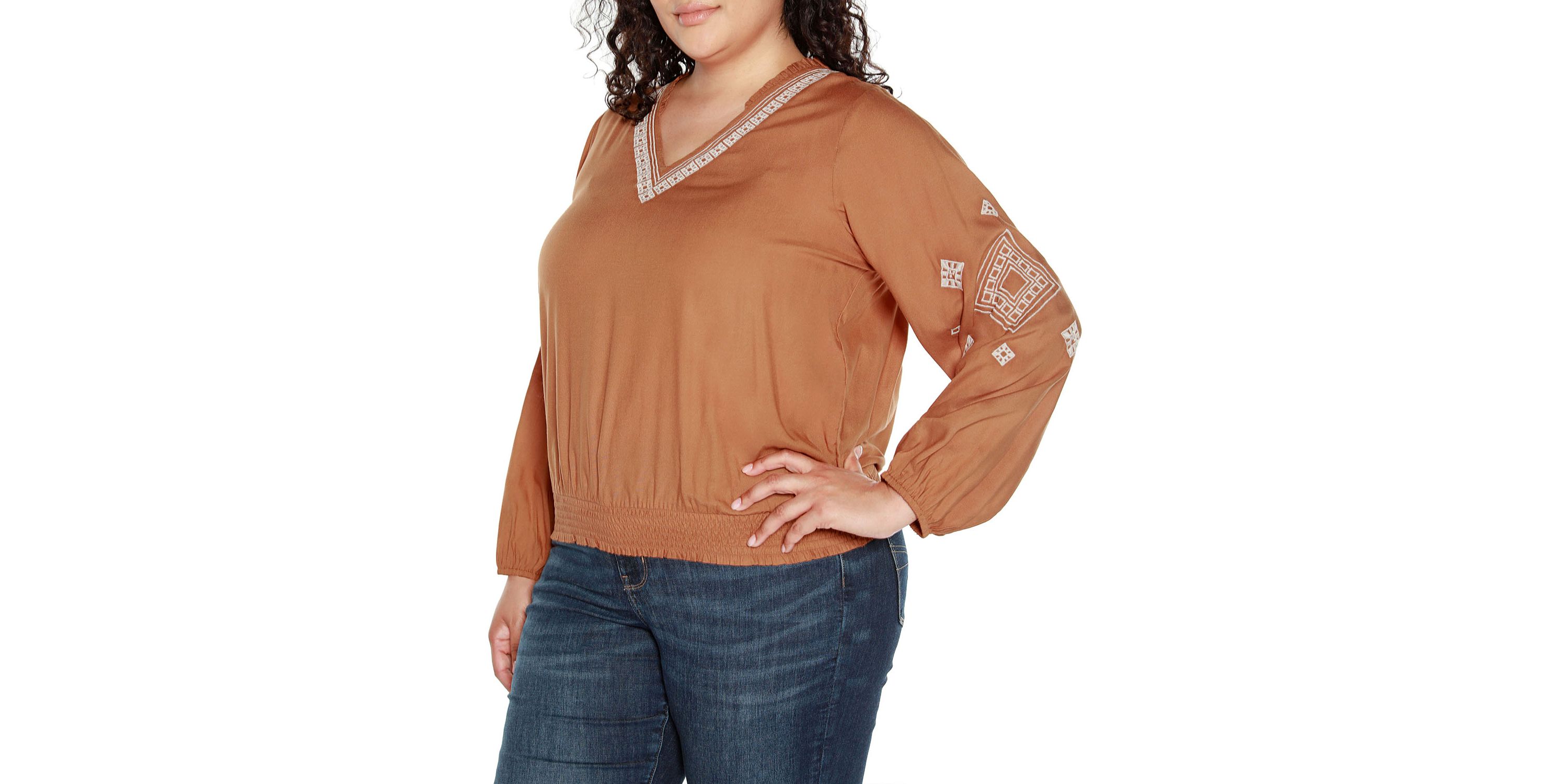 Plus Size Embroidered Blouson Sleeve V-Neck Blouse