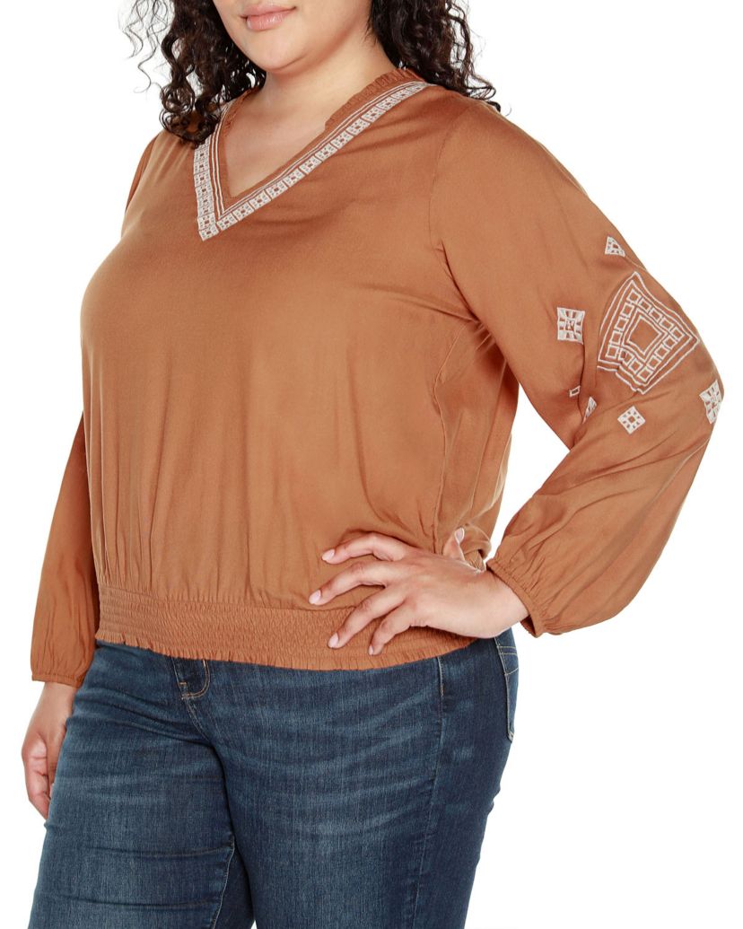 Plus Size Embroidered Blouson Sleeve V-Neck Blouse