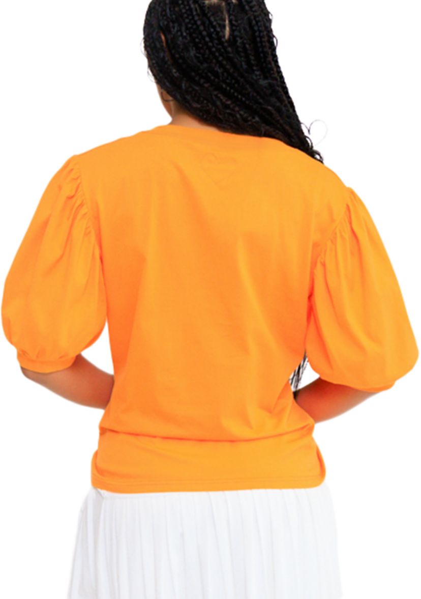 NCAA Florida A&M Rattlers FAMU Puff Sleeve V-Neck T-Shirt