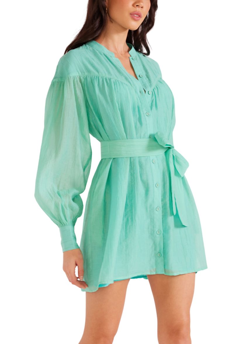 Womens Lucie Mini Dress