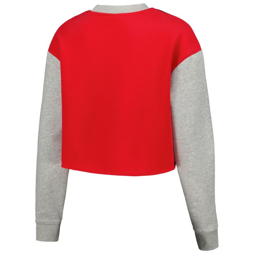 NCAA Ohio State Buckeyes Colorblock Rookie Crew Pullover Sweatshirt