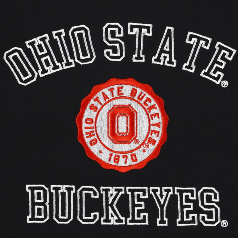 NCAA Ohio State Buckeyes Colorblock Rookie Crew Pullover Sweatshirt