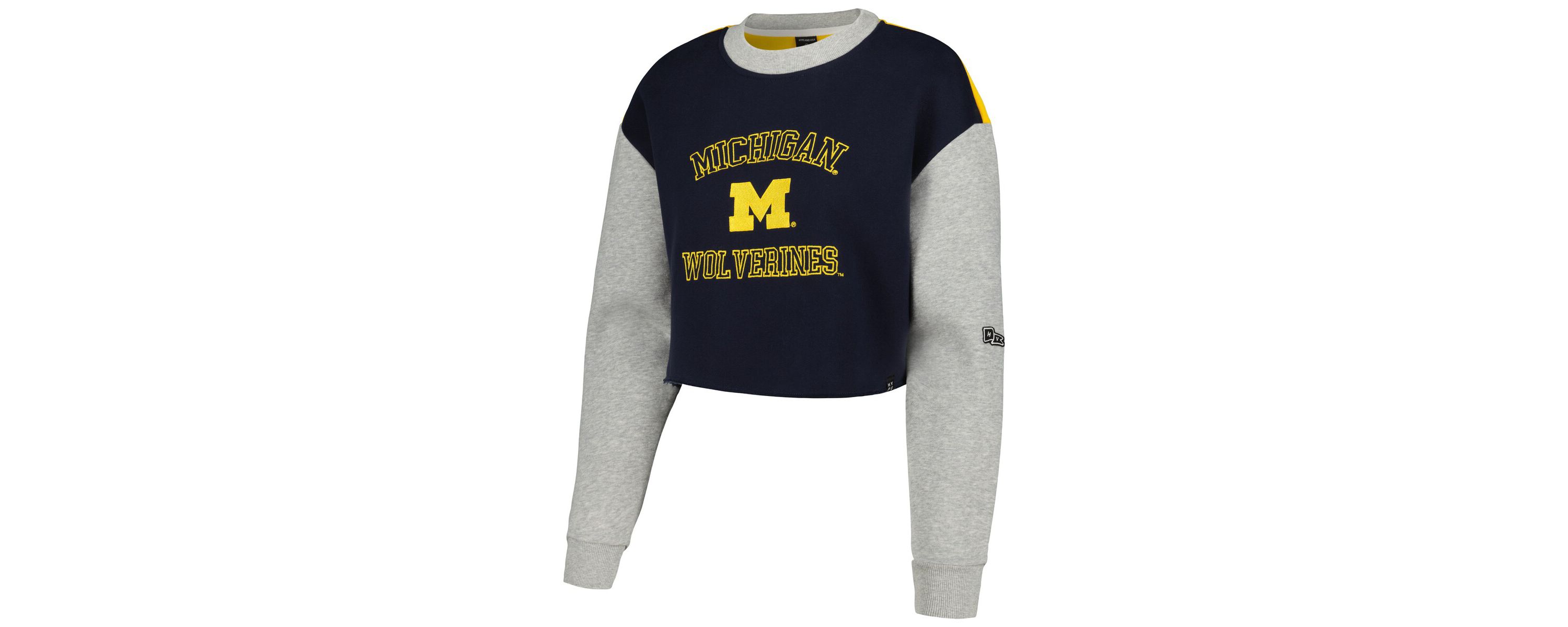 NCAA Michigan Wolverines Colorblock Rookie Crew Pullover Sweatshirt
