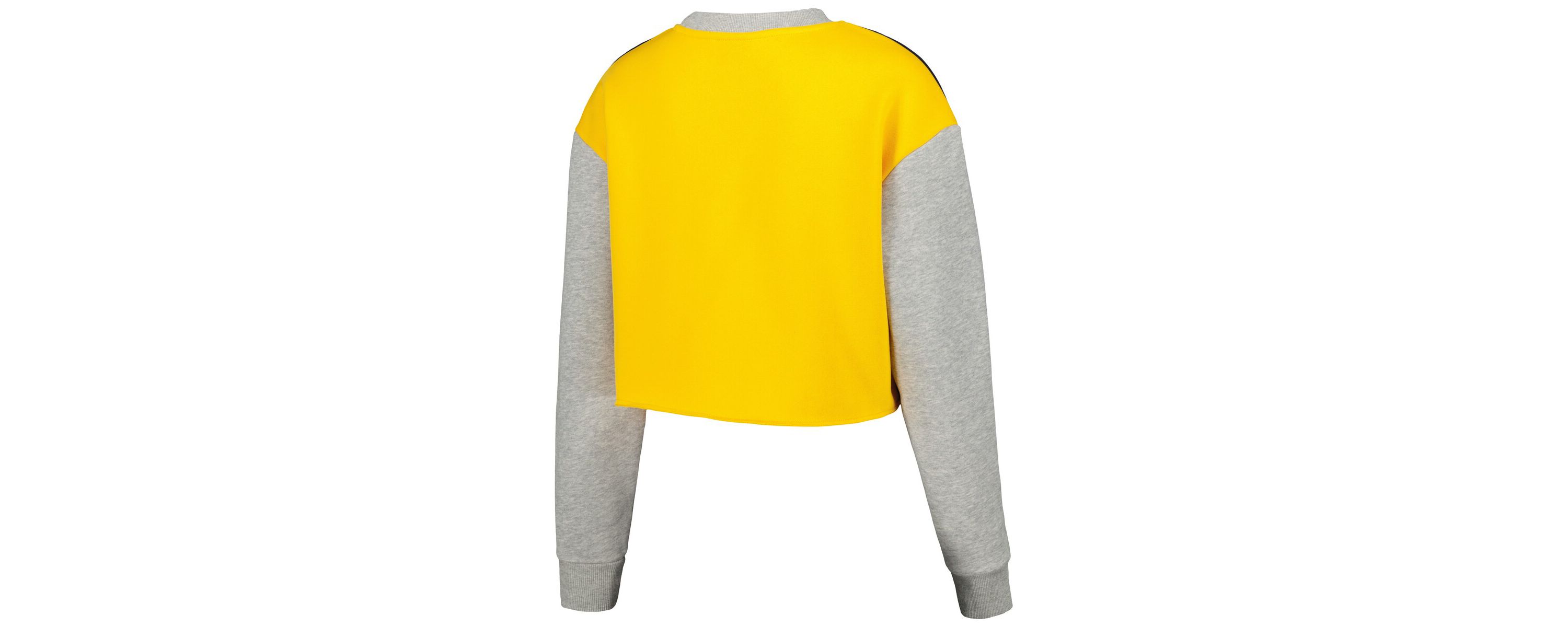 NCAA Michigan Wolverines Colorblock Rookie Crew Pullover Sweatshirt