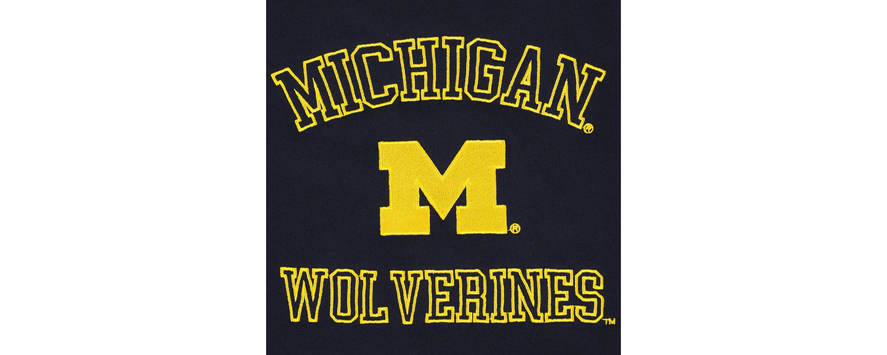 NCAA Michigan Wolverines Colorblock Rookie Crew Pullover Sweatshirt