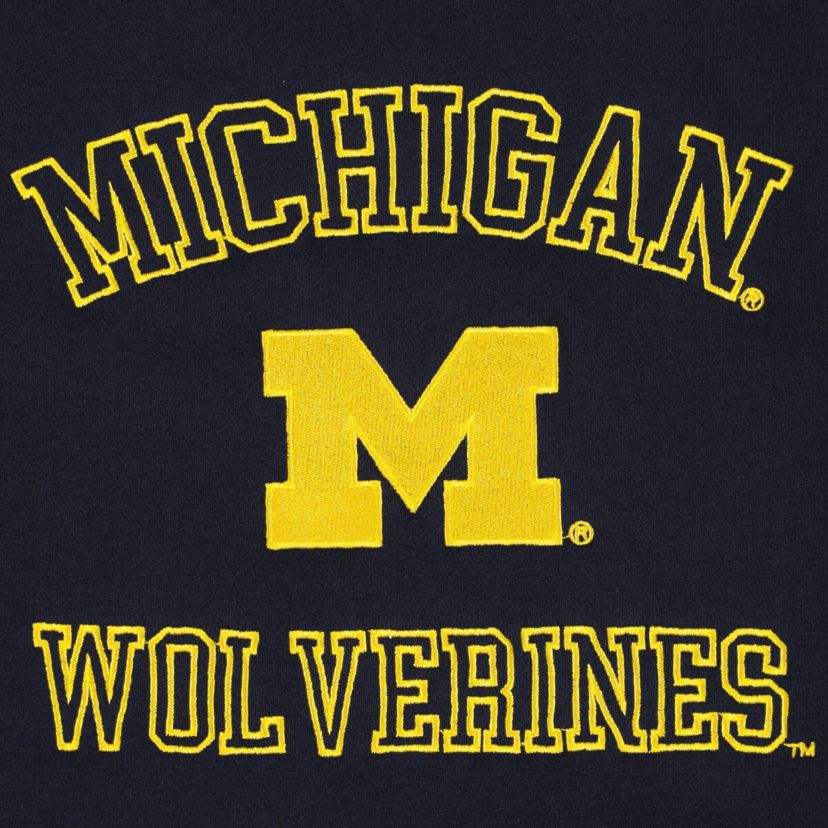 NCAA Michigan Wolverines Colorblock Rookie Crew Pullover Sweatshirt