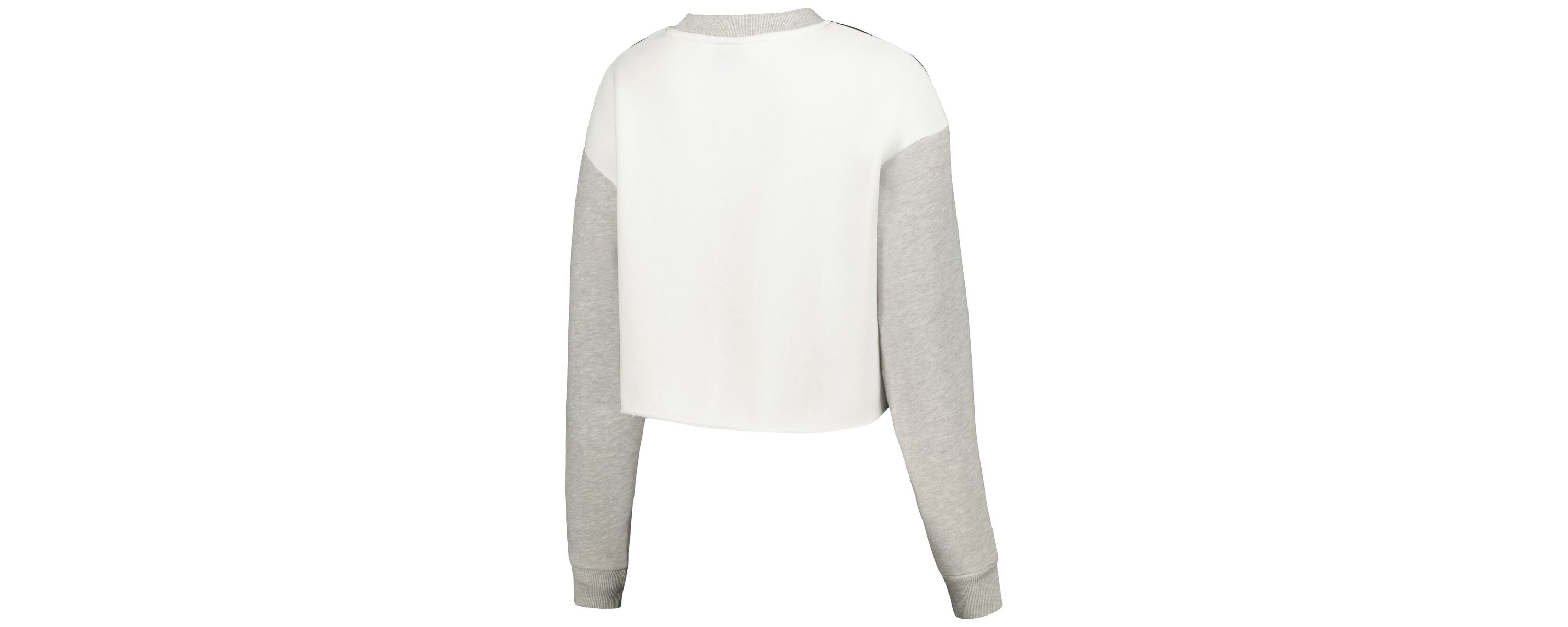 NCAA Michigan State Spartans Colorblock Rookie Crew Pullover Sweatshirt
