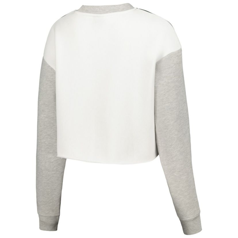 NCAA Michigan State Spartans Colorblock Rookie Crew Pullover Sweatshirt