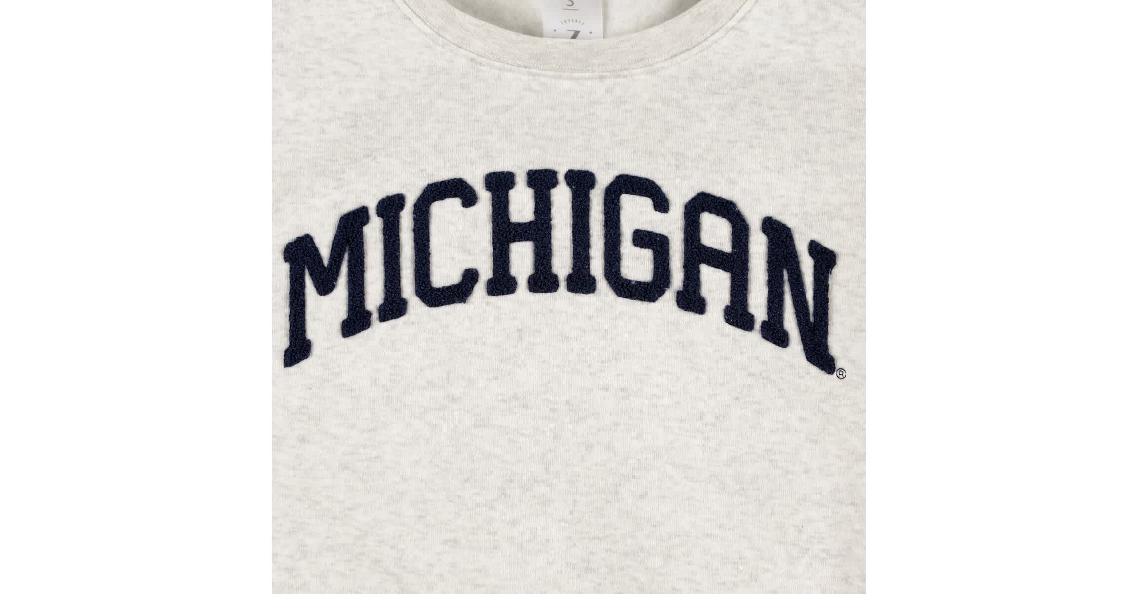 NCAA Michigan Wolverines Core Chenille Cropped Pullover Sweatshirt