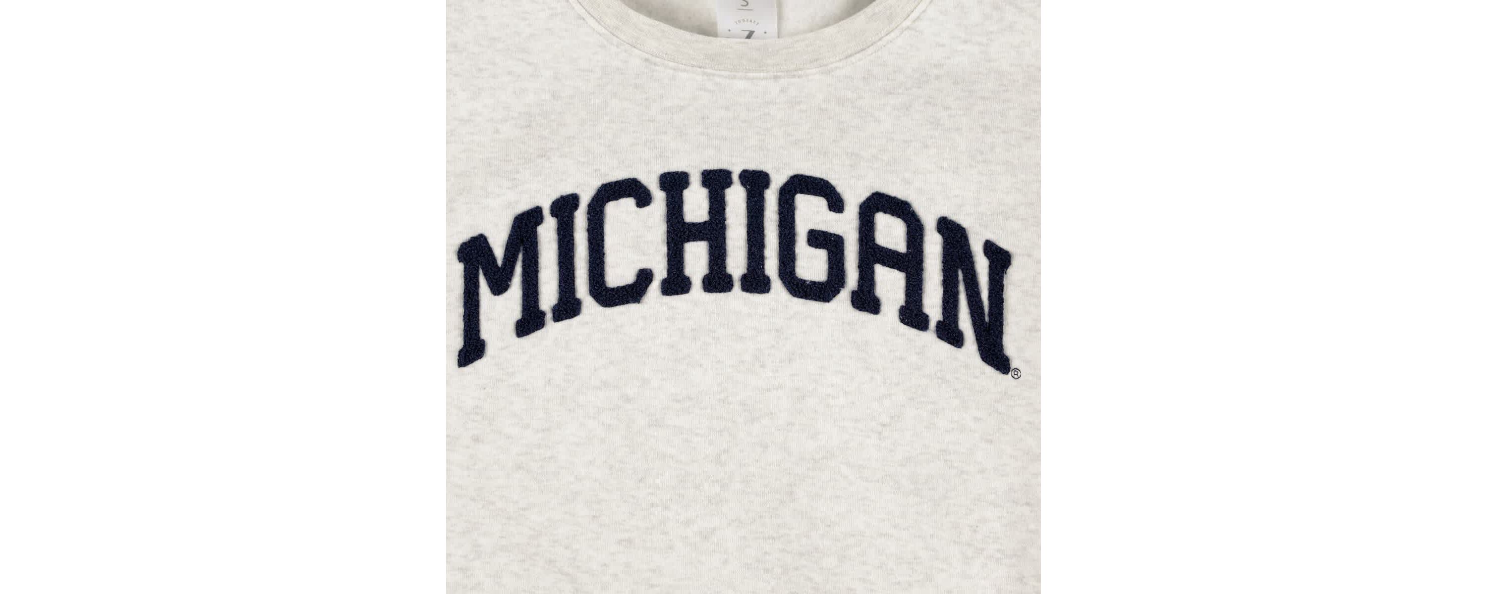 NCAA Michigan Wolverines Core Chenille Cropped Pullover Sweatshirt