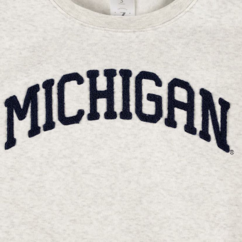 NCAA Michigan Wolverines Core Chenille Cropped Pullover Sweatshirt