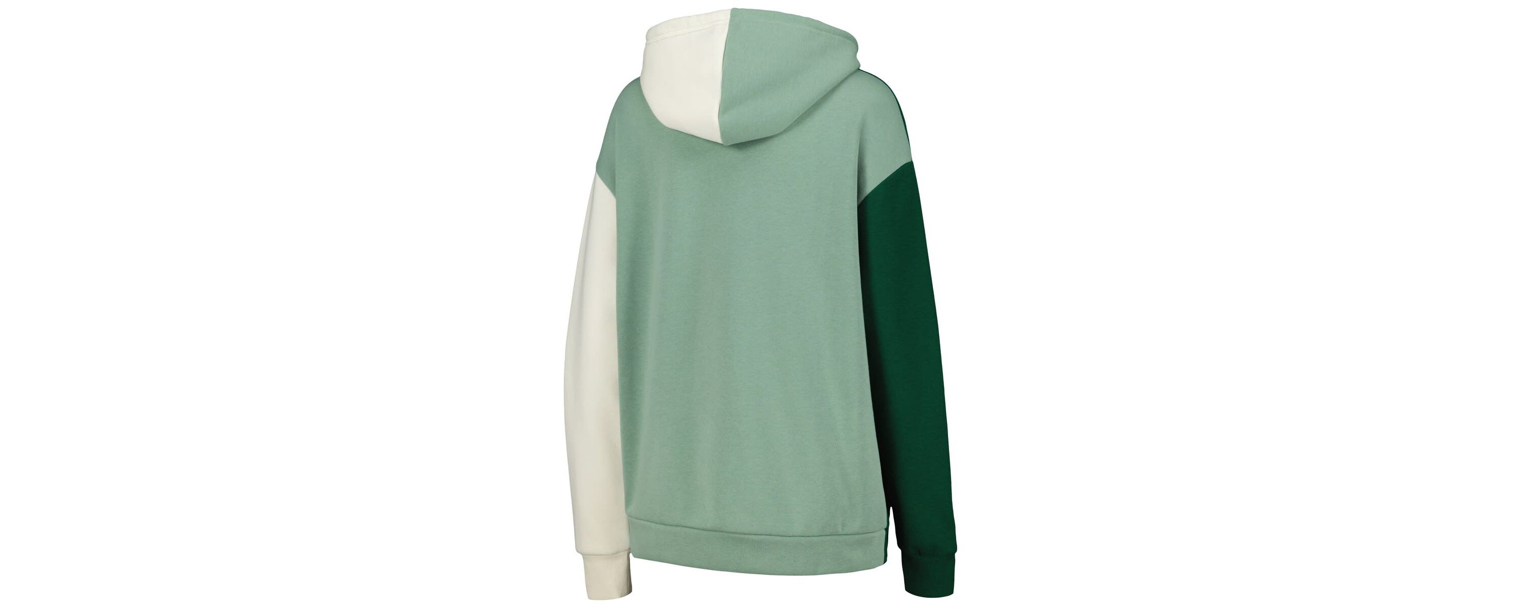 NCAA Michigan State Spartans Hall of Fame Colorblock Pullover Hoodie