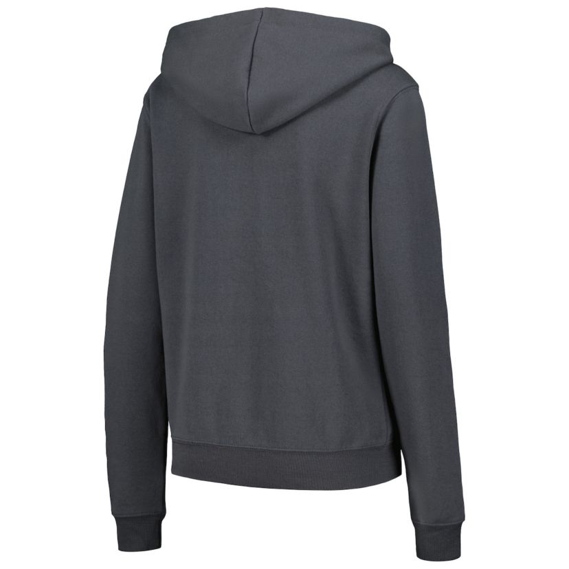 NCAA Michigan Wolverines Arch & Logo Pullover Hoodie