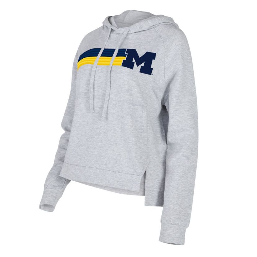 NCAA Michigan Wolverines Cedar Tri-Blend Raglan Pullover Hoodie