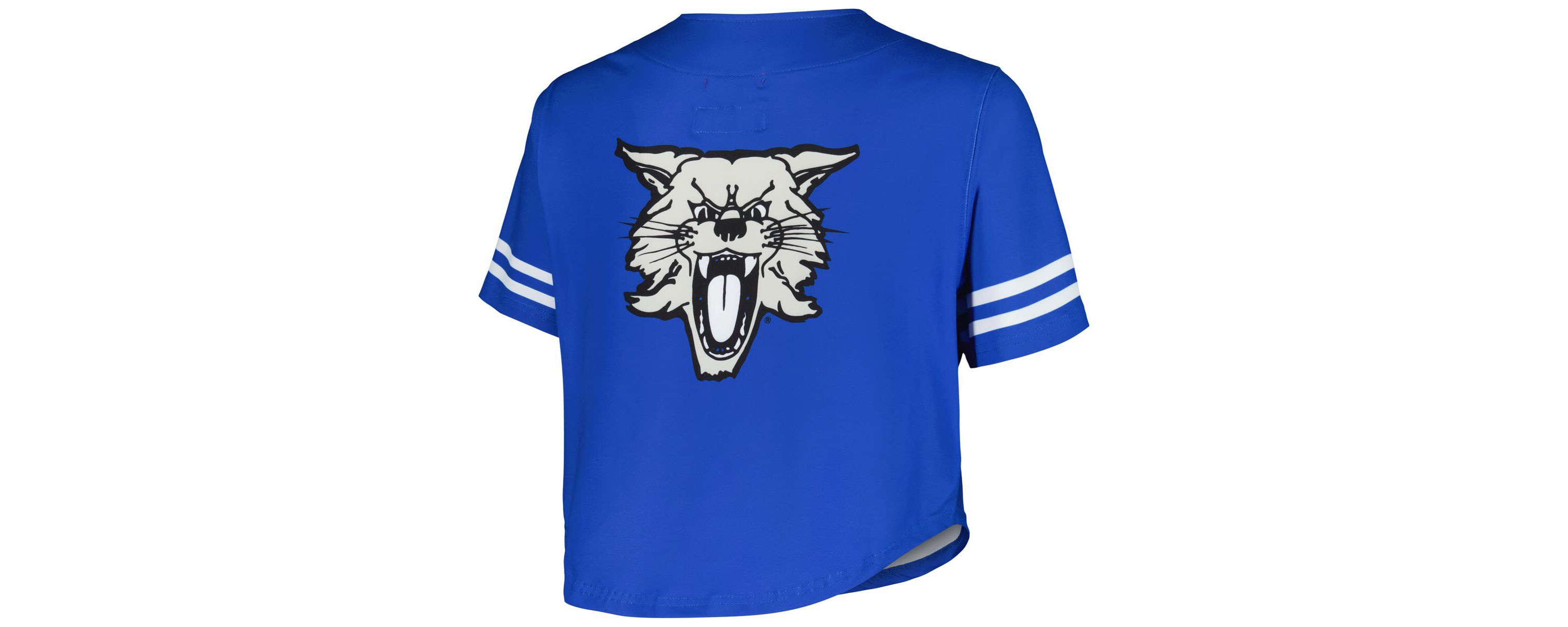 NCAA Kentucky Wildcats Vault Cropped V-Neck Button-Up Shirt