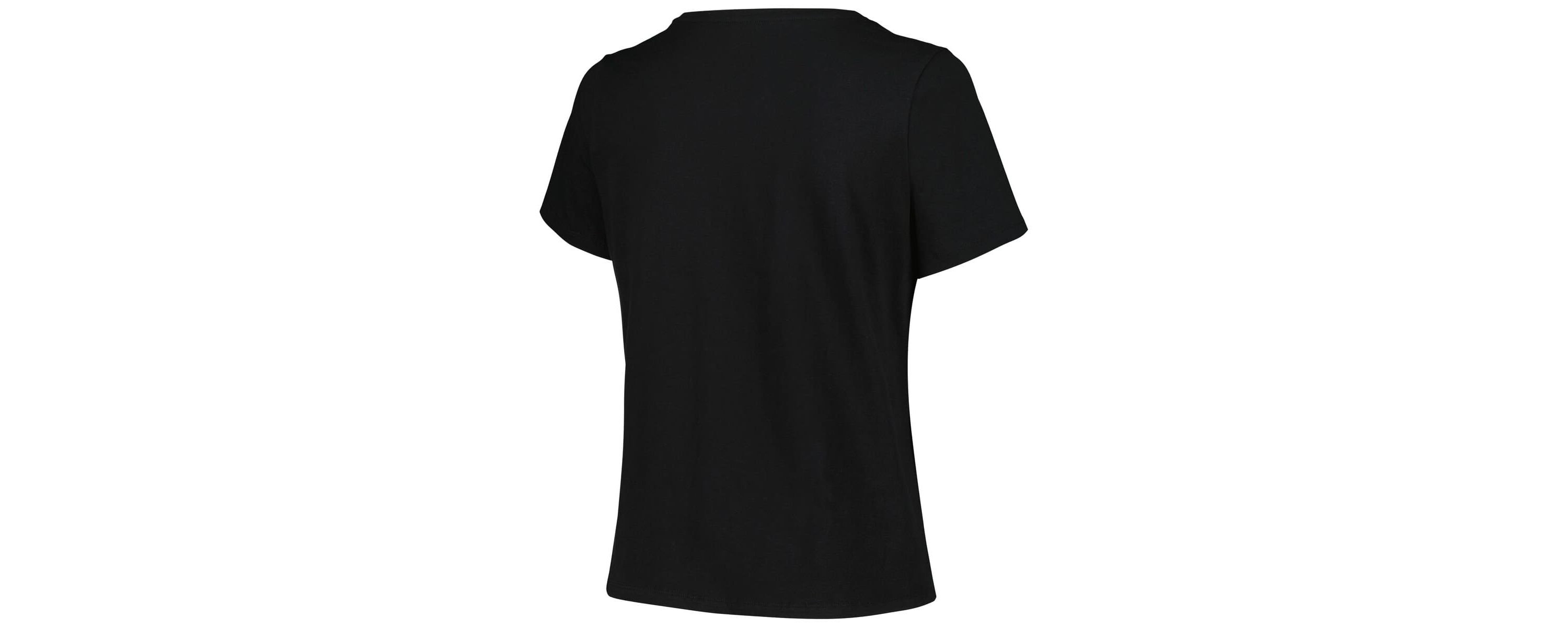 NHL Carolina Hurricanes Plus Size Arch Over Logo T-Shirt
