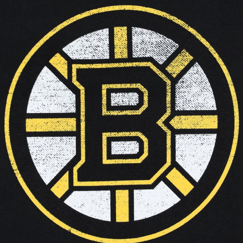 NHL David Pastrnak Plus Size Distressed Printed Name & Number Long Sleeve T-Shirt