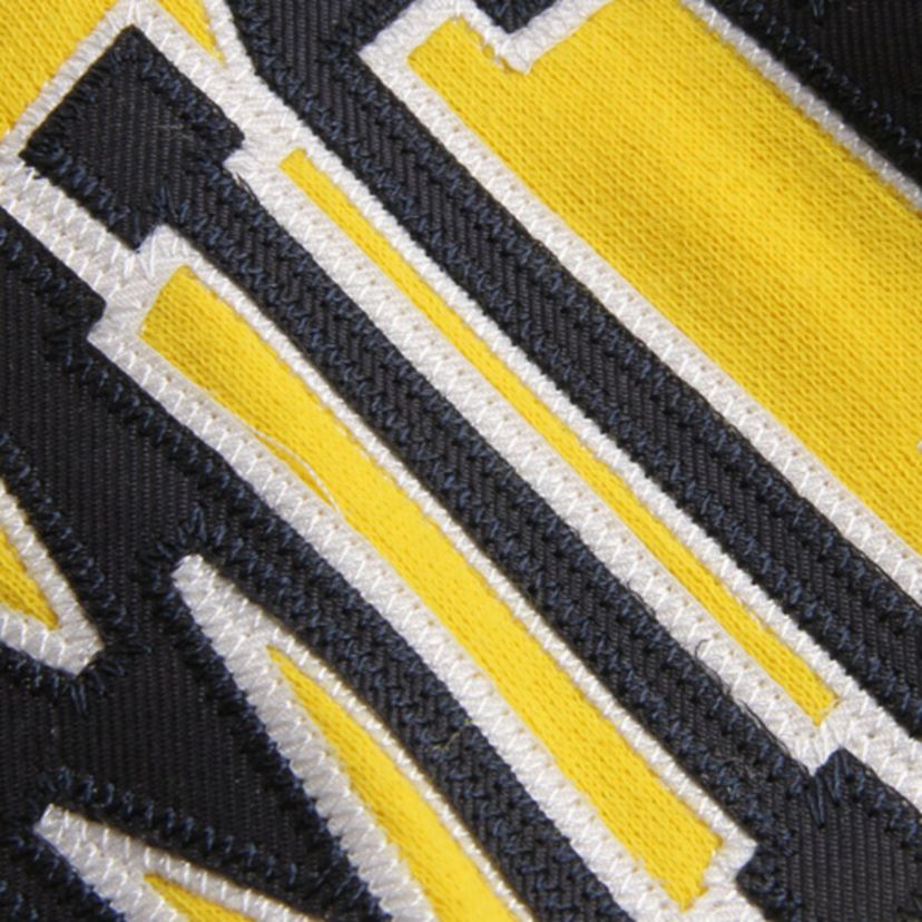NCAA Michigan Wolverines Arched Name Full-Zip Hoodie