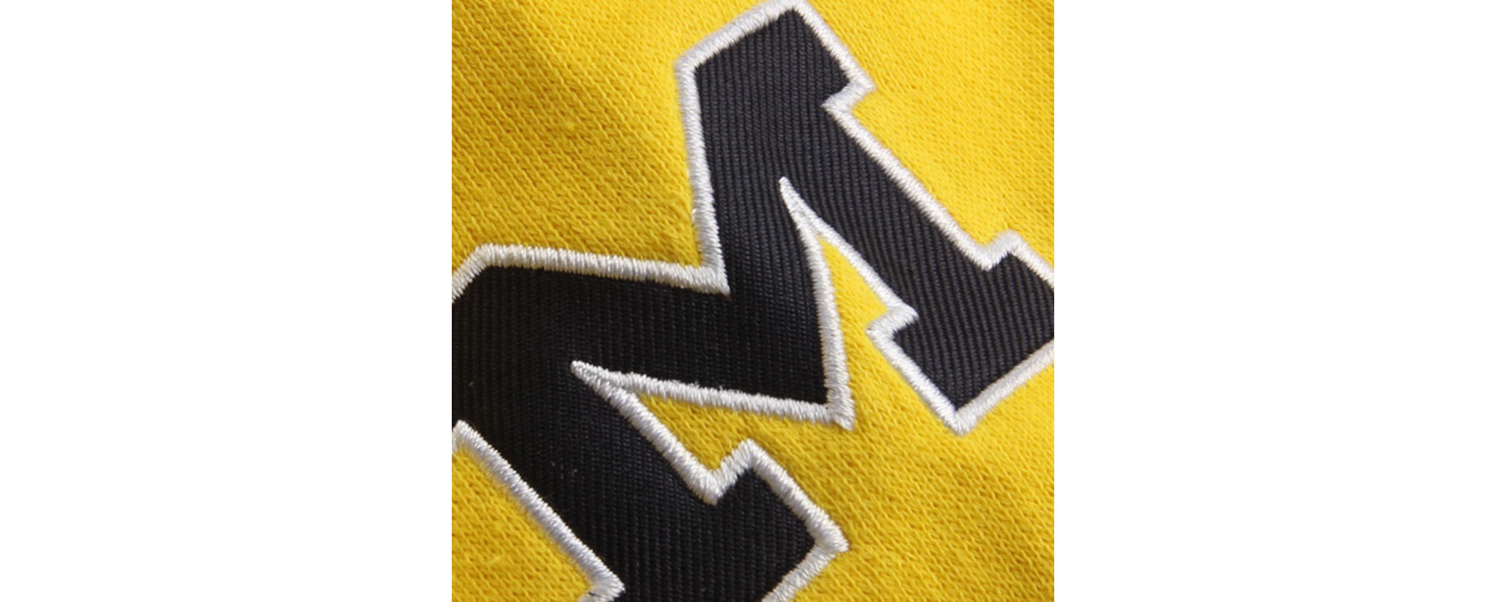 NCAA Michigan Wolverines Arched Name Full-Zip Hoodie