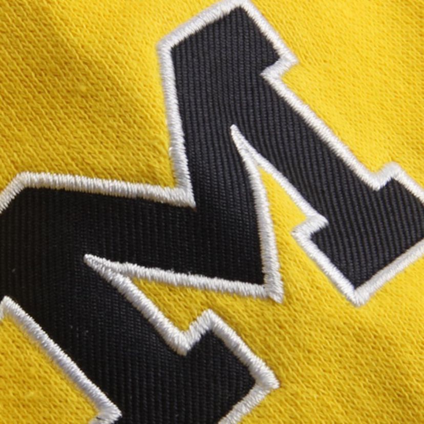 NCAA Michigan Wolverines Arched Name Full-Zip Hoodie