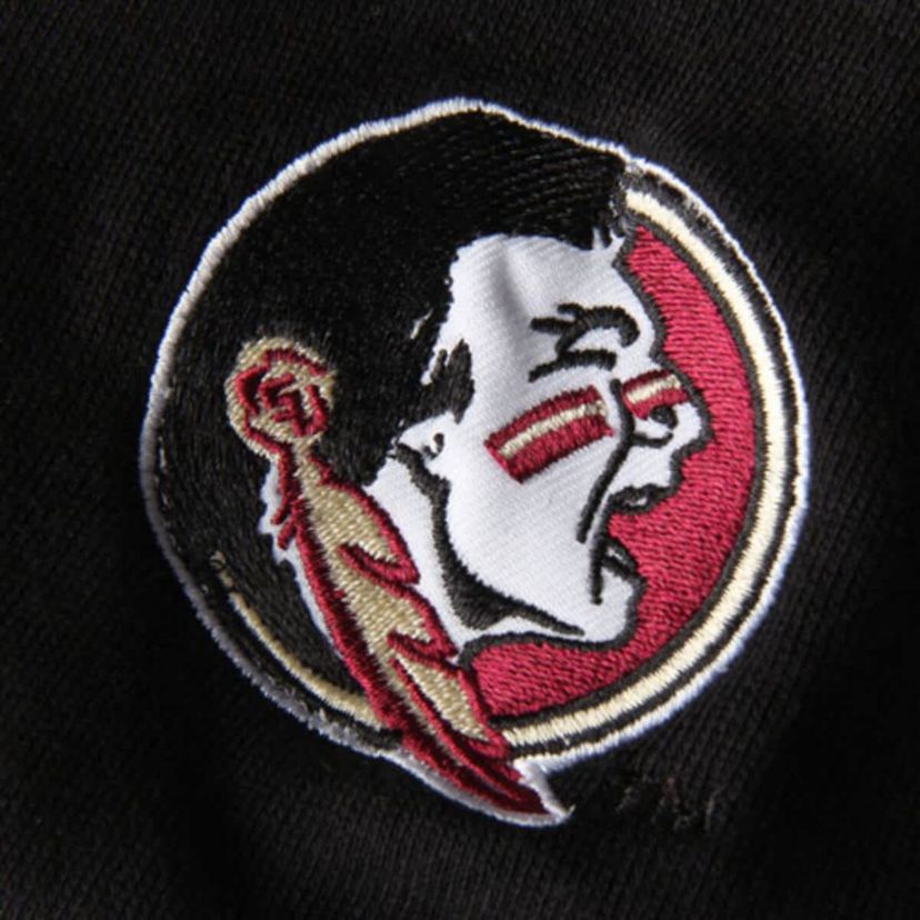 NCAA Florida State Seminoles Arched Name Full-Zip Hoodie