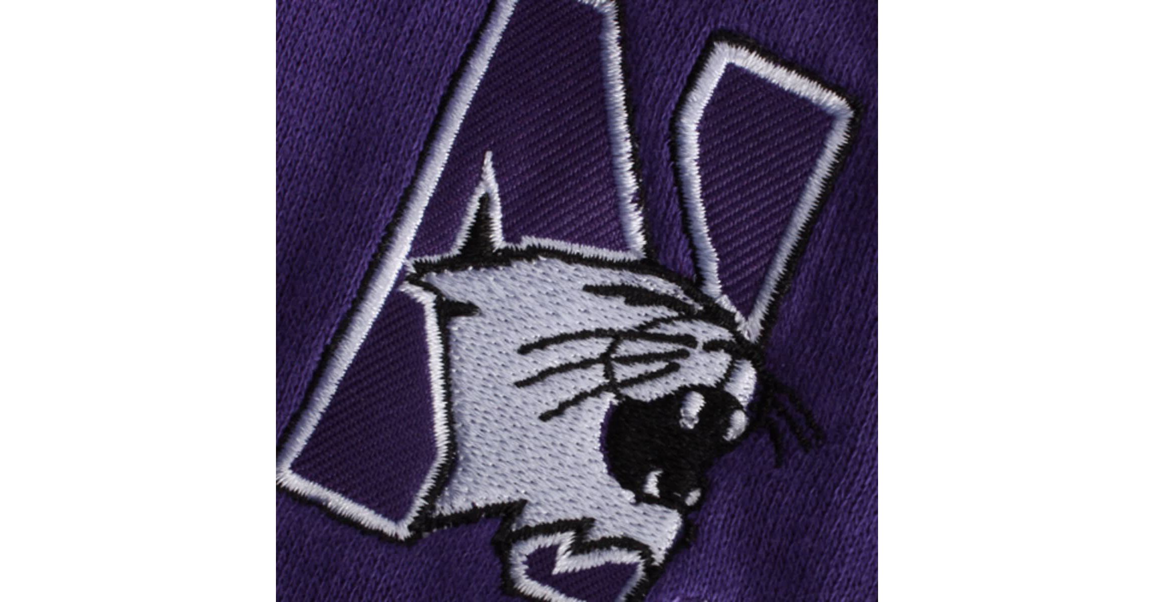 NCAA Northwestern Wildcats Arched Name Full-Zip Hoodie