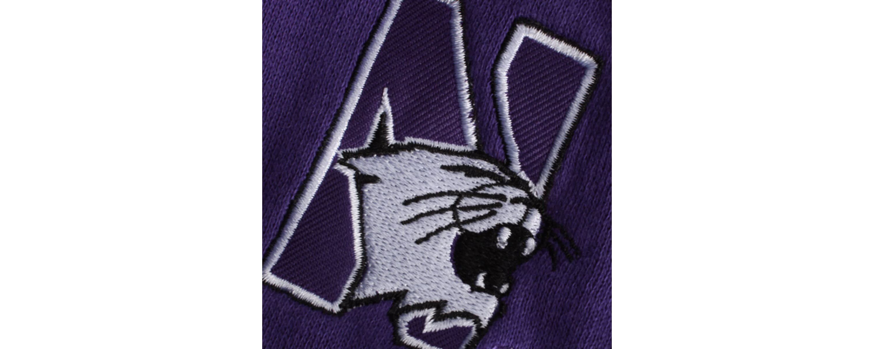 NCAA Northwestern Wildcats Arched Name Full-Zip Hoodie