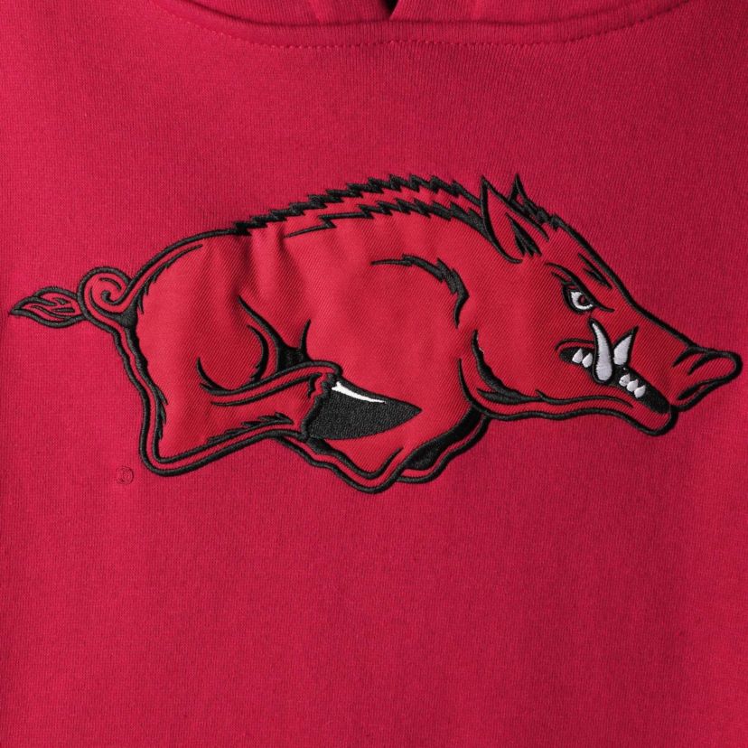 NCAA Arkansas Razorbacks Big Logo Pullover Hoodie
