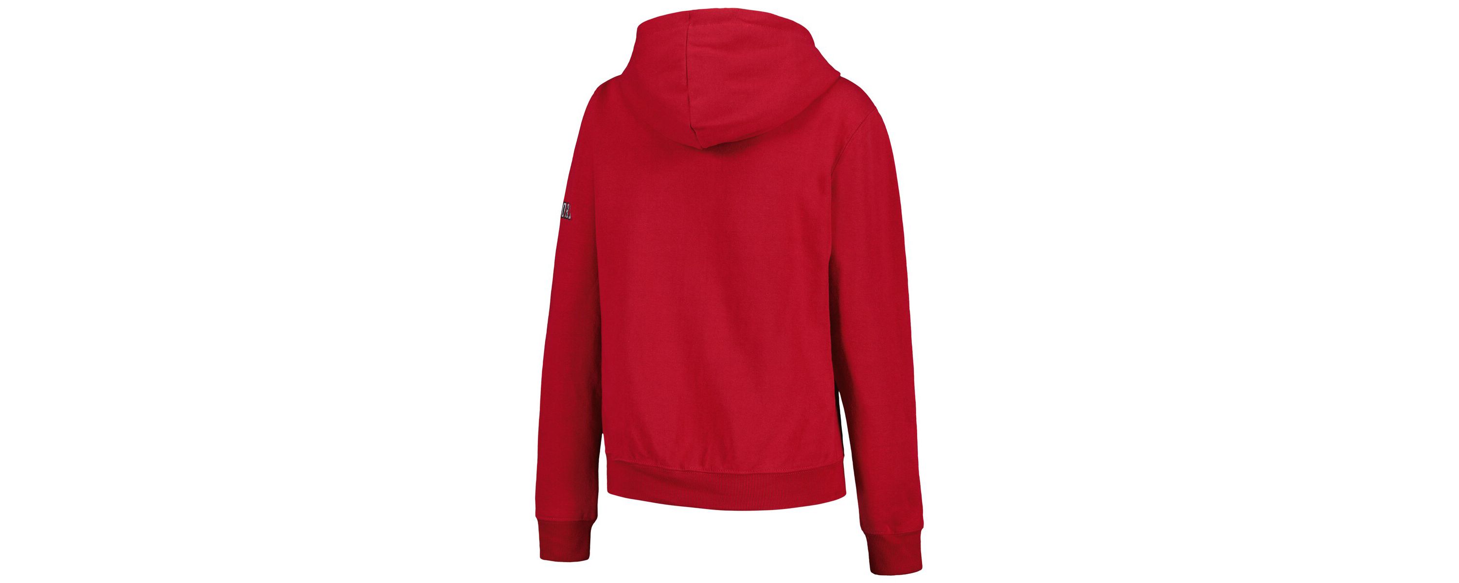 NCAA Iowa State Cyclones Big Logo Pullover Hoodie