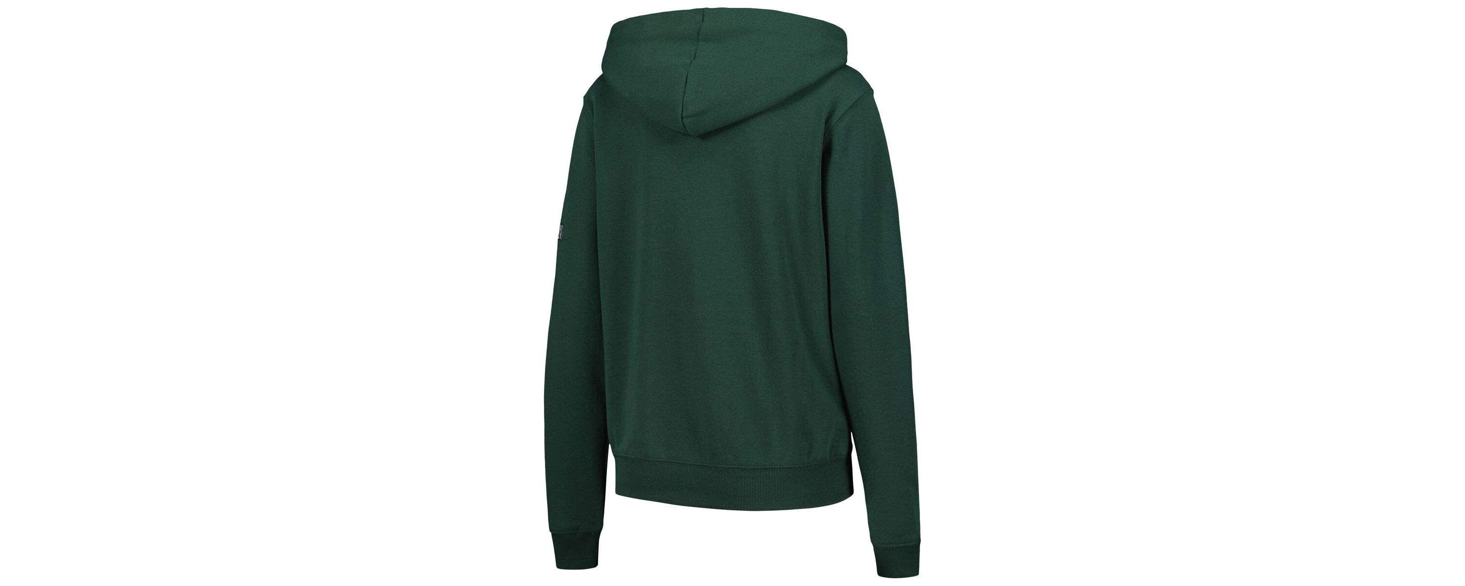 NCAA Michigan State Spartans Big Logo Pullover Hoodie