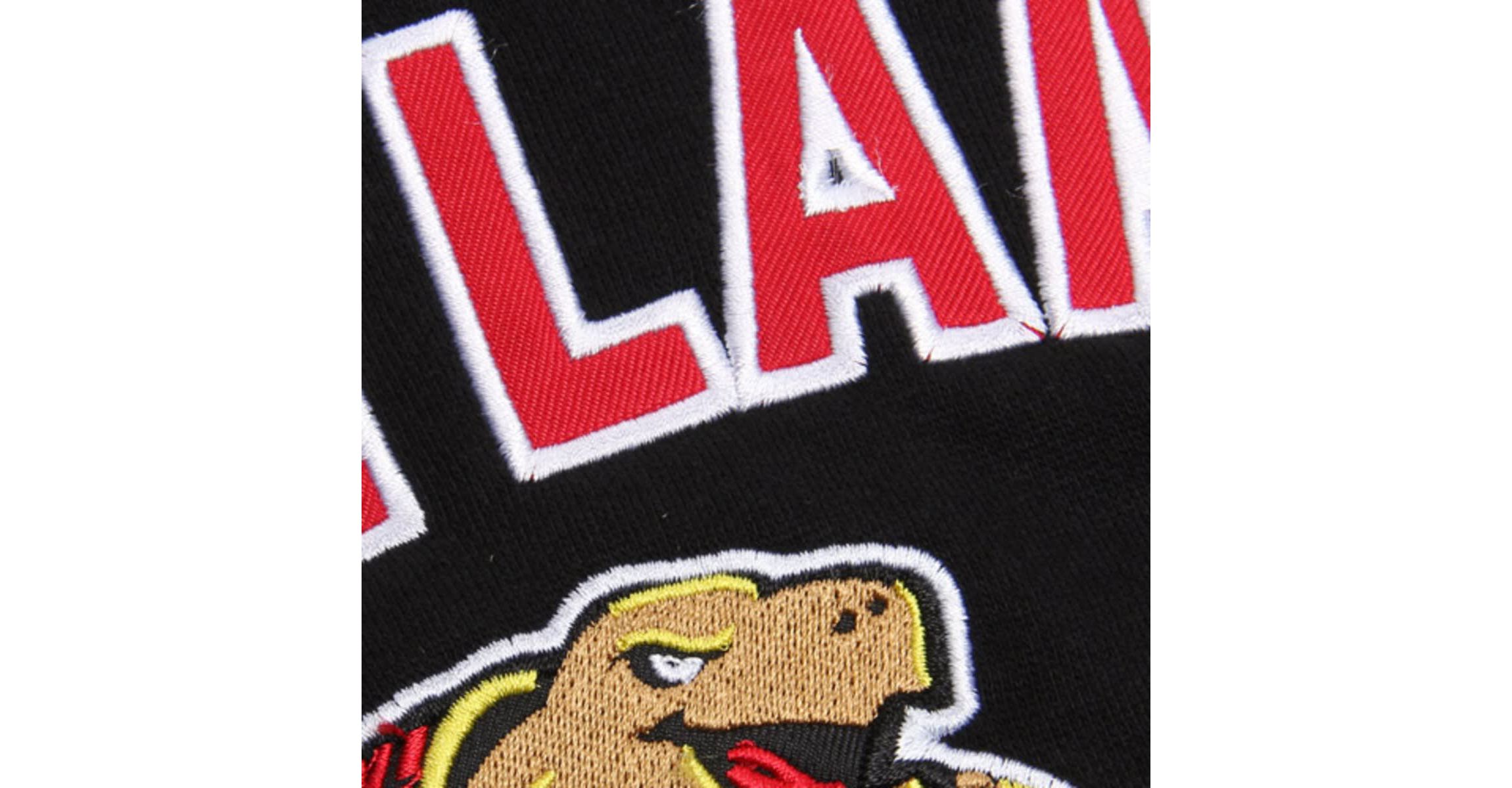 NCAA Maryland Terrapins Arch & Logo 1 Pullover Hoodie