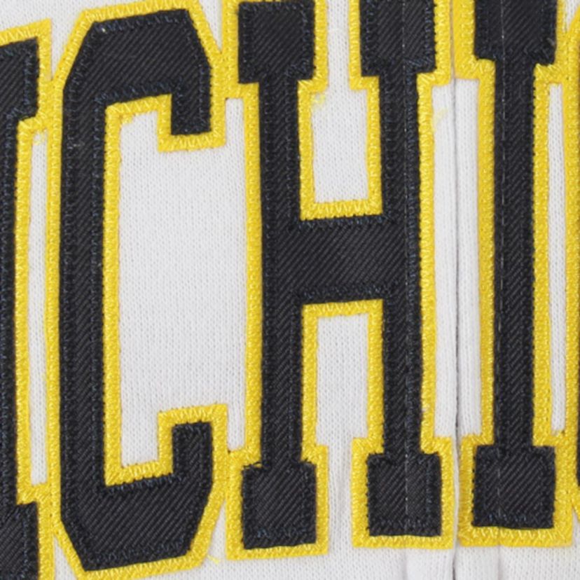 NCAA Michigan Wolverines Arched Name Full-Zip Hoodie