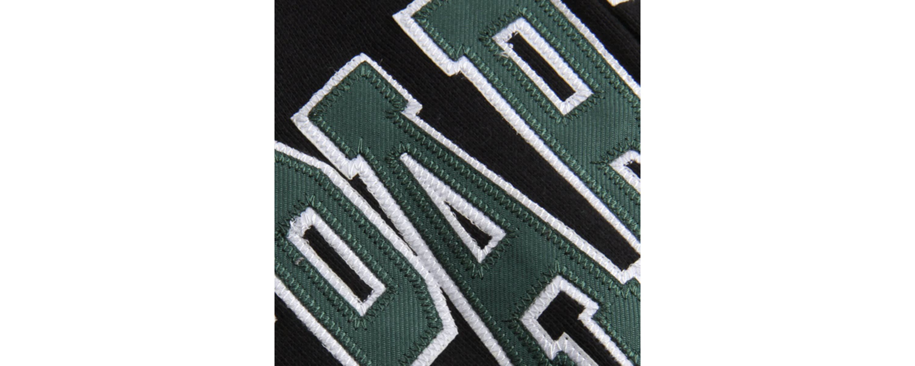 NCAA Michigan State Spartans Arched Name Full-Zip Hoodie