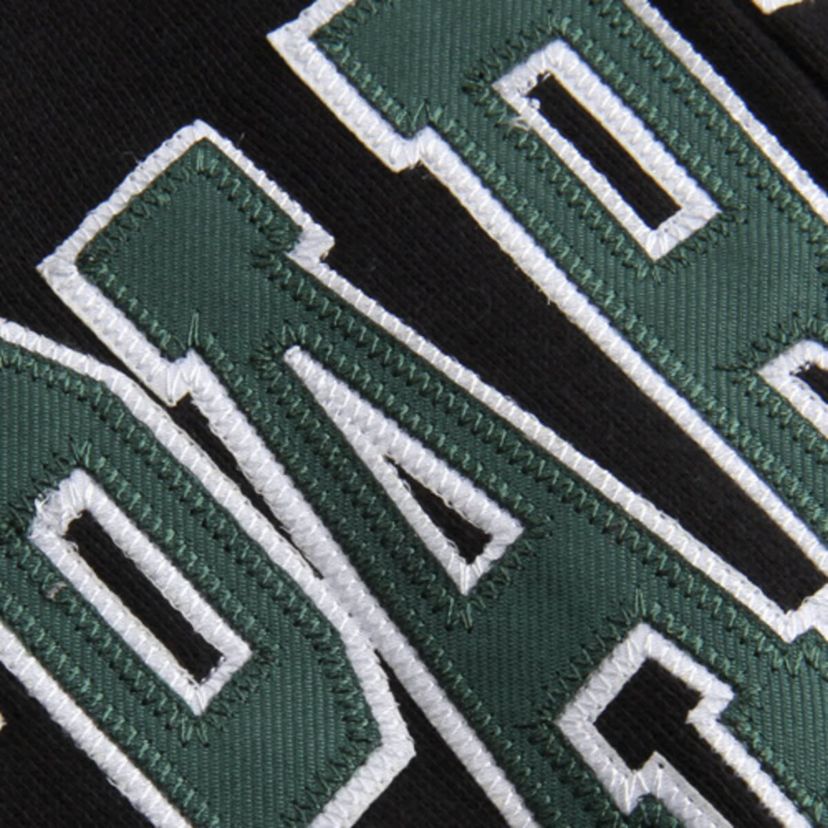NCAA Michigan State Spartans Arched Name Full-Zip Hoodie