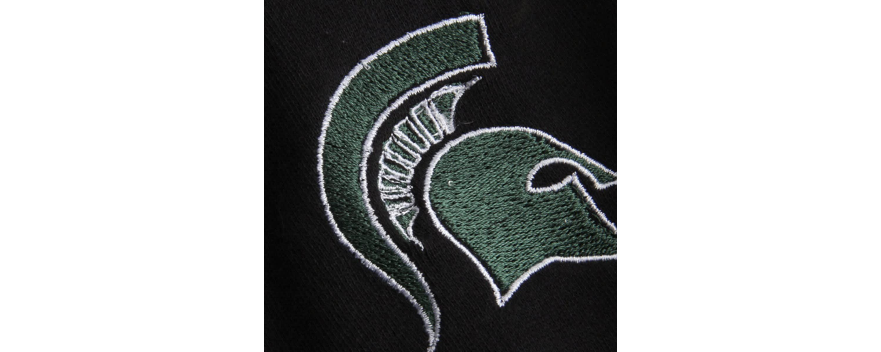 NCAA Michigan State Spartans Arched Name Full-Zip Hoodie