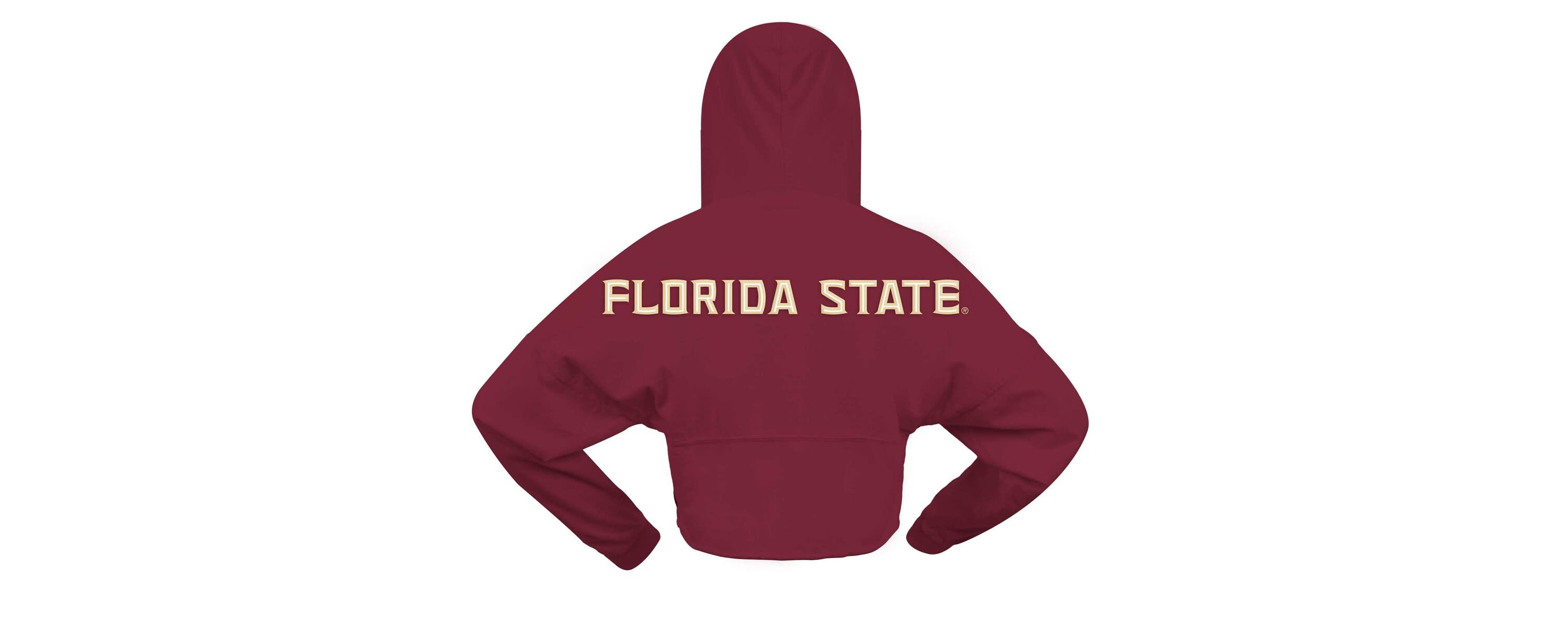 NCAA Florida State Seminoles Oversized Cropped Pullover Hoodie