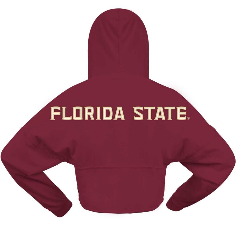 NCAA Florida State Seminoles Oversized Cropped Pullover Hoodie