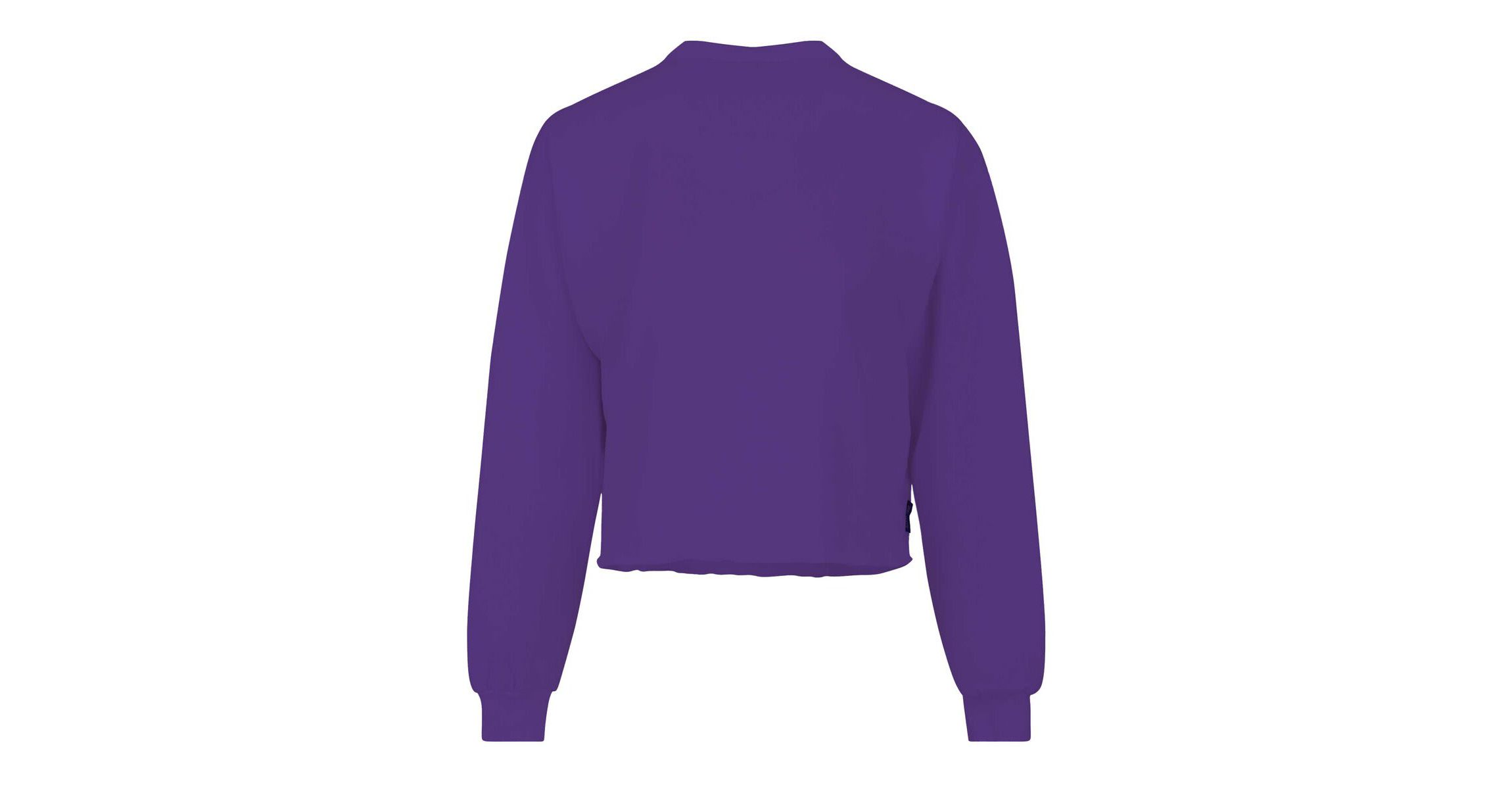 NCAA Clemson Tigers Slouchy Cropped Long Sleeve T-Shirt